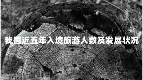 我國近五年入境旅游人數(shù)及發(fā)展?fàn)顩r