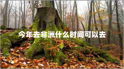 今年去非洲什么時間可以去