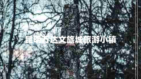 昆明萬(wàn)達(dá)文旅城旅游小鎮(zhèn)