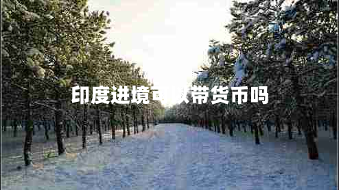 印度進境可以帶貨幣嗎 印度進境可以帶貨幣嗎