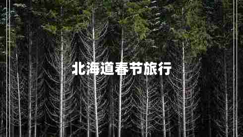 北海道春節(jié)旅行