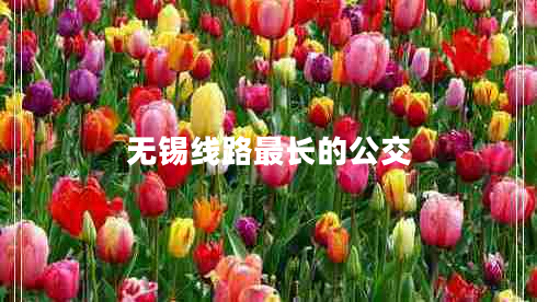 無(wú)錫線路最長(zhǎng)的公交