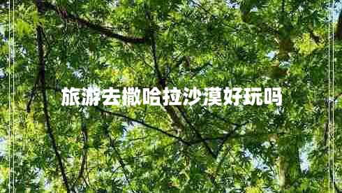 旅游去撒哈拉沙漠好玩嗎 旅游去撒哈拉沙漠好玩嗎