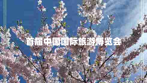 首屆中國國際旅游博覽會