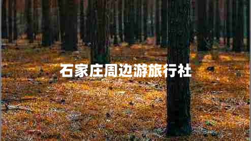 石家莊周邊游旅行社