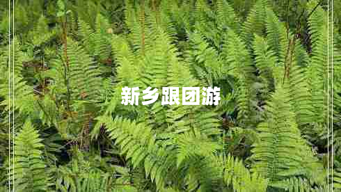 新鄉(xiāng)跟團游