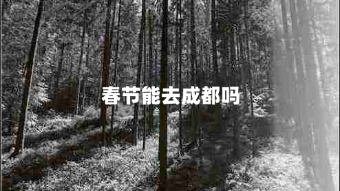 春節(jié)能去成都嗎