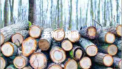 去新鄉(xiāng)旅游