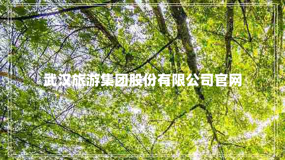 武漢旅游集團股份有限公司官網(wǎng)