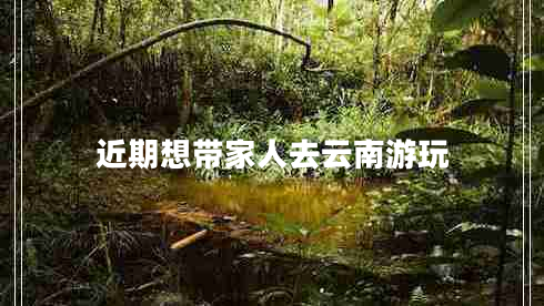 近期想帶家人去云南游玩