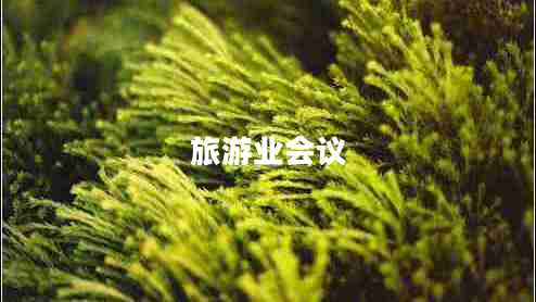 旅游業(yè)會議