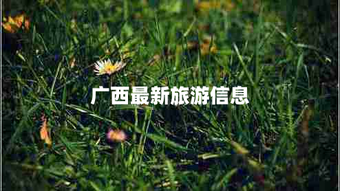 廣西最新旅游信息