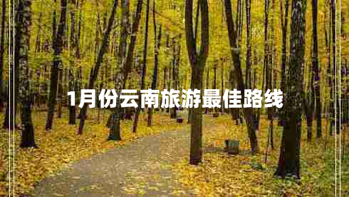 1月份云南旅游最佳路線