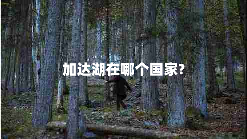 加達(dá)湖在哪個(gè)國(guó)家?