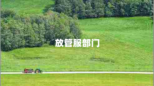 放管服部門 放管服部門