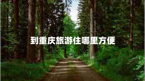 到重慶旅游住哪里方便