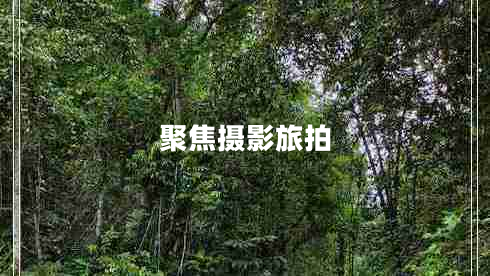 聚焦攝影旅拍 聚焦攝影旅拍