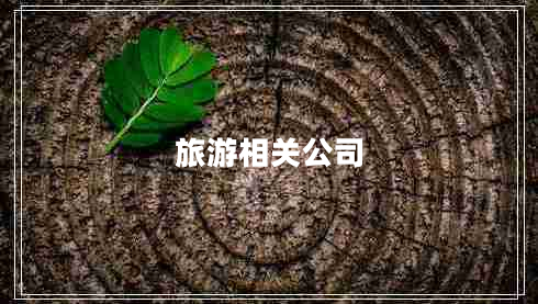 旅游相關(guān)公司