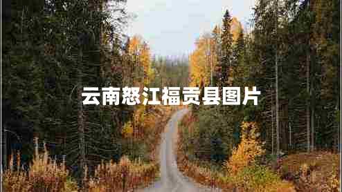 云南怒江福貢縣圖片