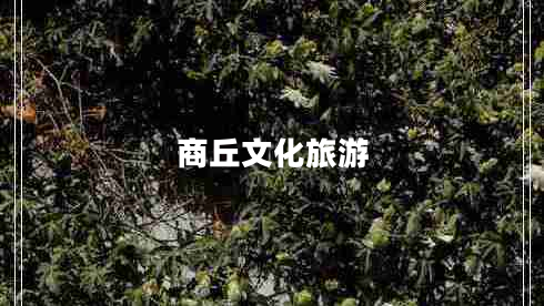 商丘文化旅游 商丘文化旅游