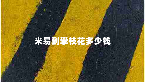 米易到攀枝花多少錢 米易到攀枝花多少錢