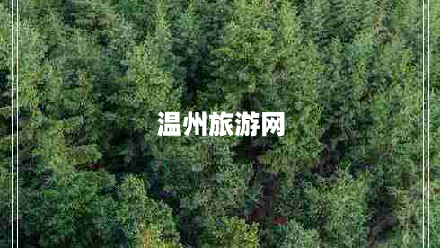 溫州旅游網(wǎng) 溫州旅游網(wǎng)