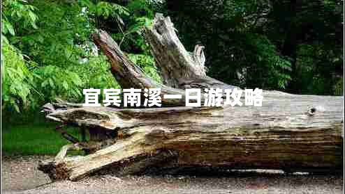 宜賓南溪一日游攻略