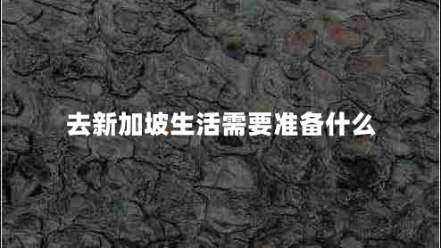 去新加坡生活需要準備什么
