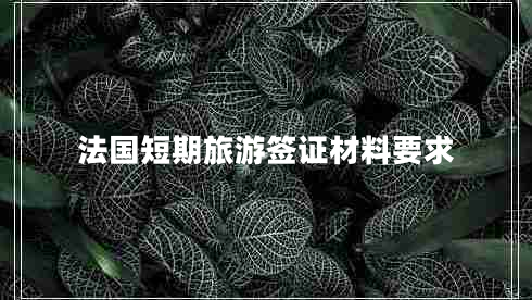 法國(guó)短期旅游簽證材料要求