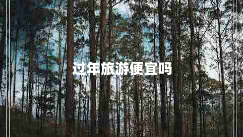 過年旅游便宜嗎