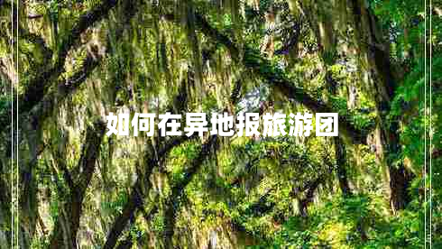 如何在異地報旅游團