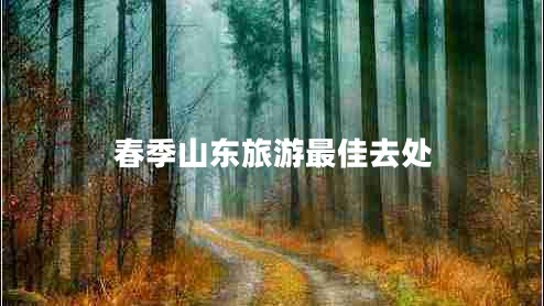 春季山東旅游最佳去處