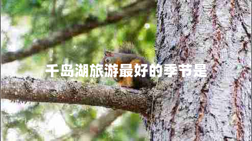 千島湖旅游最好的季節(jié)是