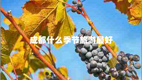 成都什么季節(jié)旅游最好