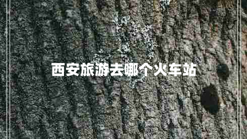西安旅游去哪個火車站
