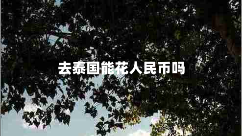 去泰國(guó)能花人民幣嗎