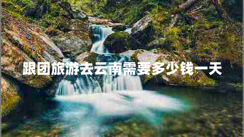 跟團(tuán)旅游去云南需要多少錢(qián)一天