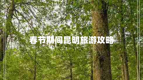 春節(jié)期間昆明旅游攻略 春節(jié)期間昆明旅游攻略