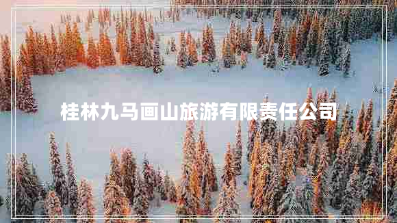 桂林九馬畫(huà)山旅游有限責(zé)任公司