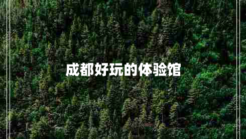 成都好玩的體驗(yàn)館