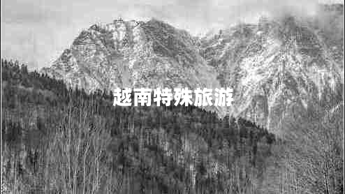 越南特殊旅游 越南特殊旅游