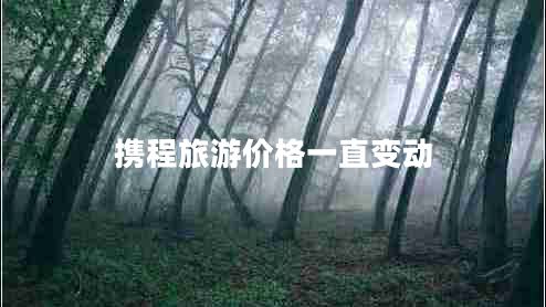 攜程旅游價格一直變動