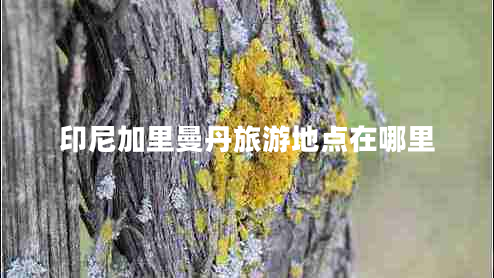 印尼加里曼丹旅游地點(diǎn)在哪里 印尼加里曼丹旅游地點(diǎn)在哪里