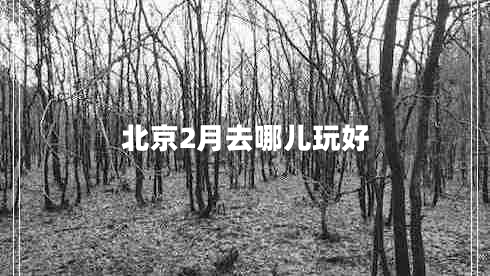 北京2月去哪兒玩好 北京2月去哪兒玩好