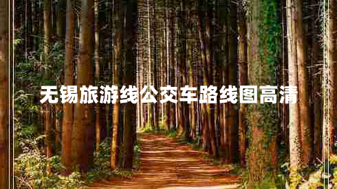 無(wú)錫旅游線公交車路線圖高清