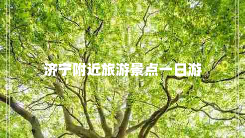 濟(jì)寧附近旅游景點(diǎn)一日游 濟(jì)寧附近旅游景點(diǎn)一日游