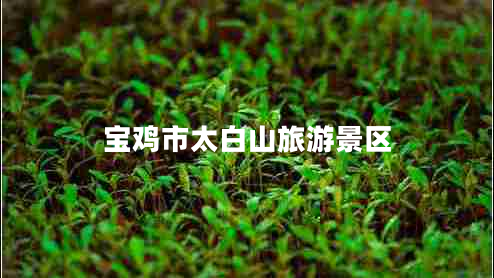 寶雞市太白山旅游景區(qū)