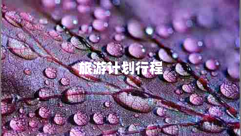 旅游計(jì)劃行程