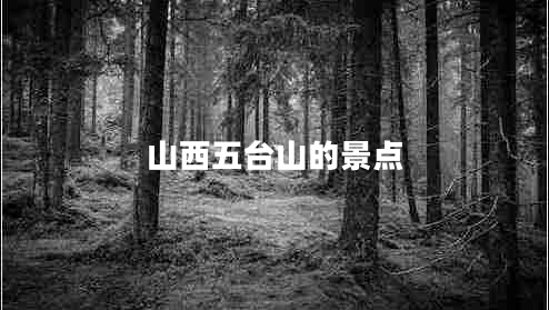 山西五臺(tái)山的景點(diǎn)