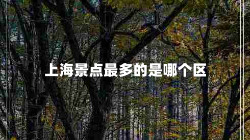 上海景點最多的是哪個區(qū)
